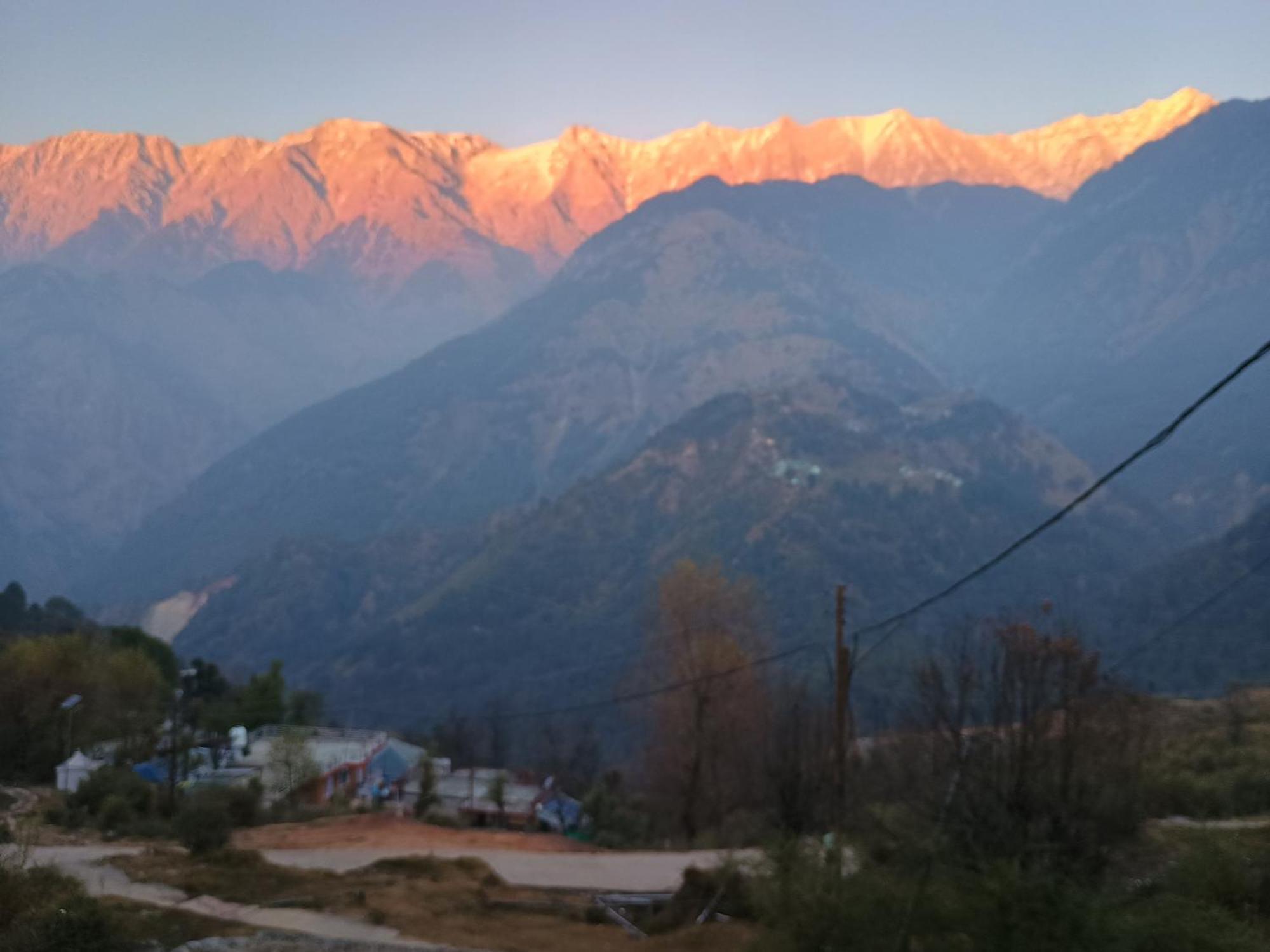 Mcleodganj Diaries Guest House Dharamsala Zewnętrze zdjęcie